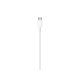 Apple 1m, lightning/USB-C Bianco 5
