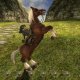 Nintendo The Legend of Zelda : Twilight Princess HD - Limited Edition Limitata Wii U 7