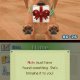 Nintendo Nintendogs: Labrador & Friends, NDS Nintendo DS 3