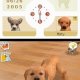 Nintendo Nintendogs: Labrador & Friends, NDS Nintendo DS 4