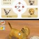 Nintendo Nintendogs: Labrador & Friends, NDS Nintendo DS 6