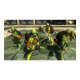 Activision Teenage Mutant Ninja Turtles: Mutants in Manhattan, PS3 Standard ITA PlayStation 3 3