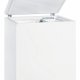Liebherr GT 2132 Comfort Congelatore a pozzo Libera installazione 204 L E Bianco 2