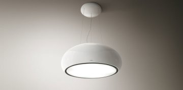 SEASHELL WH/F/80 - PRF0024262A