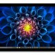 Microsoft Surface Pro 4 Intel® Core™ i5 128 GB 31,2 cm (12.3
