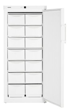 Liebherr G 5216 ProfiLine Congelatore verticale Libera installazione 473 L Bianco