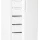 Liebherr G 5216 ProfiLine Congelatore verticale Libera installazione 473 L Bianco 4