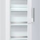 Gorenje FN6192PW Congelatore verticale Libera installazione 243 L E Bianco 2