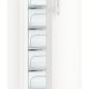Liebherr GNP 3255 Premium NoFrost Congelatore verticale Libera installazione 194 L Bianco 7