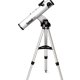 Bushnell NorthStar Riflettore 675x Argento 2