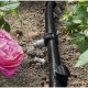 Kärcher 2.645-234.0 sistema di irrigazione goccia a goccia 4