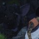 Sony The Last Guardian Collector's Edition, PS4 Collezione Inglese, ITA PlayStation 4 4