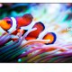 Hisense H75M7900 TV Hospitality 190,5 cm (75