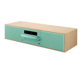 Pioneer X-CM56D Microsistema audio per la casa 30 W Verde