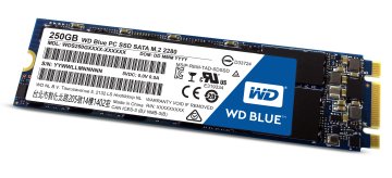 Western Digital Blue PC 250 GB M.2