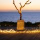 Sirius Home 30746 illuminazione decorativa 350 lampadina(e) LED 12 W 5