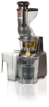 RGV Juice Art Muscle Estrattore di succo 230 W Grigio