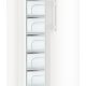 Liebherr GNP 4655 congelatore Congelatore verticale Libera installazione 312 L Bianco 3