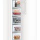 Liebherr GNP 4655 congelatore Congelatore verticale Libera installazione 312 L Bianco 4