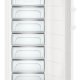 Liebherr GNP 4655 congelatore Congelatore verticale Libera installazione 312 L Bianco 7