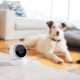 Logitech Circle Home Security Camera Sferico Telecamera di sicurezza IP Interno Pavimento 16