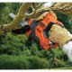 Black & Decker RS890K-QS sega alternativa 2700 spm (fogli per minuto) 500 W Nero, Arancione 5
