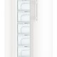 Liebherr GN 4615 Comfort NoFrost Congelatore verticale Libera installazione 312 L Bianco 6