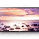 Sony KD49XD8305 124,5 cm (49
