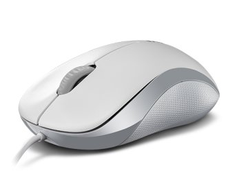 Rapoo N1130 mouse Ufficio Ambidestro USB tipo A Ottico 1000 DPI