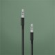 Bang & Olufsen 3.5mm/3.5mm 2.5m cavo audio 2,5 m Nero 2
