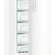 Liebherr GNP 3855 congelatore Congelatore verticale Libera installazione 214 L Bianco 7