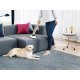 AEG CX7-45SR Aspirapolvere a bastone 2 in 1 Batteria Secco Senza sacchetto 0,5 L Beige, Bianco 3