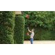 Black & Decker PH5551-QS tosasiepe Doppia lama 550 W 4,1 kg 4