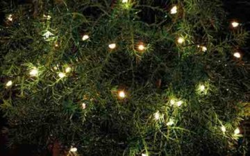 Sirius Home Knirke Ghirlanda di luci decorative 80 lampadina(e) LED 1,35 W
