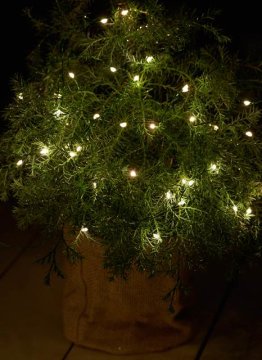 Sirius Home 30830 illuminazione decorativa 40 lampadina(e) LED
