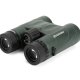 Celestron CB71331 binocolo BaK-4 Verde 3