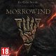 Microsoft The Elder Scrolls Online: Morrowind, Xbox One Standard Inglese 2