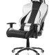 AKRacing Premium V2 Sedia da gaming per PC Seduta imbottita Nero, Grigio 7