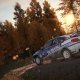 Codemasters DiRT 4 - Day One Edition Tedesca, Inglese, ESP, Francese, ITA, Polacco PlayStation 4 13