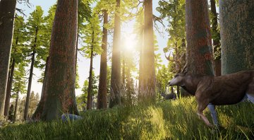 Bigben Interactive Hunting Simulator, PS4