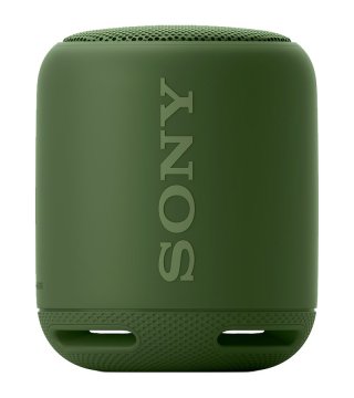 Sony SRS-XB10 Altoparlante portatile mono Verde