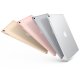 Apple iPad Pro 4G LTE 256 GB 26,7 cm (10.5