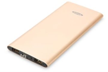 Ednet Slim Line Polimeri di litio (LiPo) 5000 mAh Oro