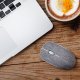 Rapoo 3510 Plus mouse Ufficio Ambidestro RF Wireless Ottico 1000 DPI 8