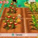 Marvelous Story of Seasons : Trio of Towns Standard Nintendo 3DS 4