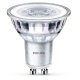 Philips LED faretto 50W 2