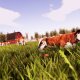 BANDAI NAMCO Entertainment Real Farm Sim, PS4 Standard Inglese, ITA PlayStation 4 11