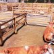 BANDAI NAMCO Entertainment Real Farm Sim, PS4 Standard Inglese, ITA PlayStation 4 3
