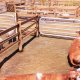 BANDAI NAMCO Entertainment Real Farm, Xbox One Standard Inglese, ITA 9