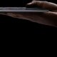 Apple iPad Pro 256 GB 32,8 cm (12.9